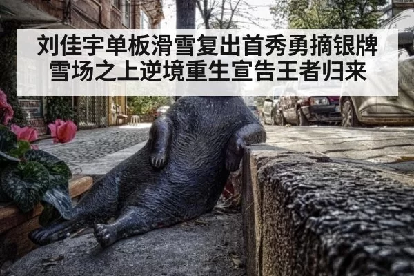 刘佳宇单板滑雪复出首秀勇摘银牌 雪场之上逆境重生宣告王者归来